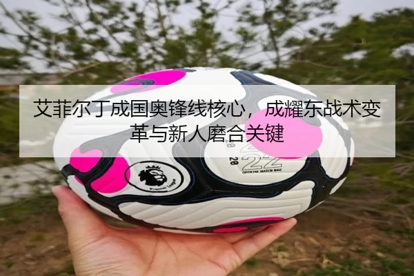 ai-fei-er-ding-cheng-guo-ao-feng-xian-he-xin-cheng-yao-dong-zhan-shu-bian-ge-yu-xin-ren-mo-he-guan-jian-2-336.jpg